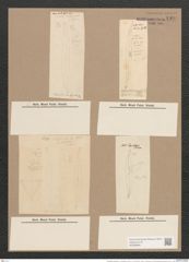 Pleurosigma angulatum var. delicatulum (W.Sm.) V.H. (de-Toni-Nr.: Genus 13, Species 1001) Zeichnungen Sammlung Grunow Nr. 1999 (NHMW-BOT-W0368846)